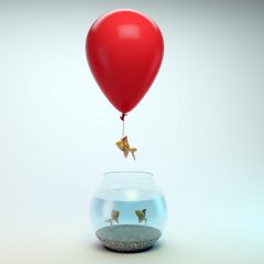 CINCO PATENTES DE INVENTOS EXITOSOS